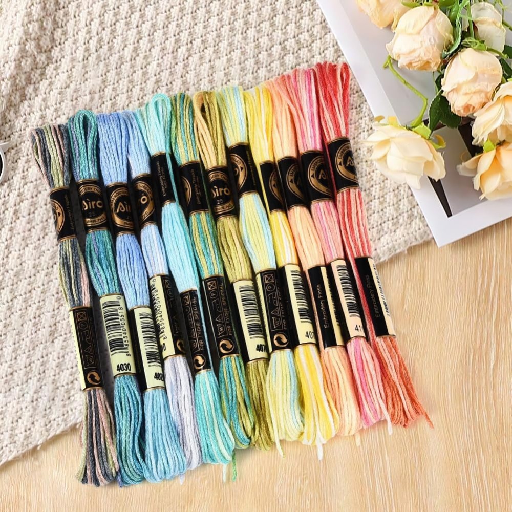 12 Skeins 105 Yards 6 Ply Vari - Embroidery Floss Thread recension och pris